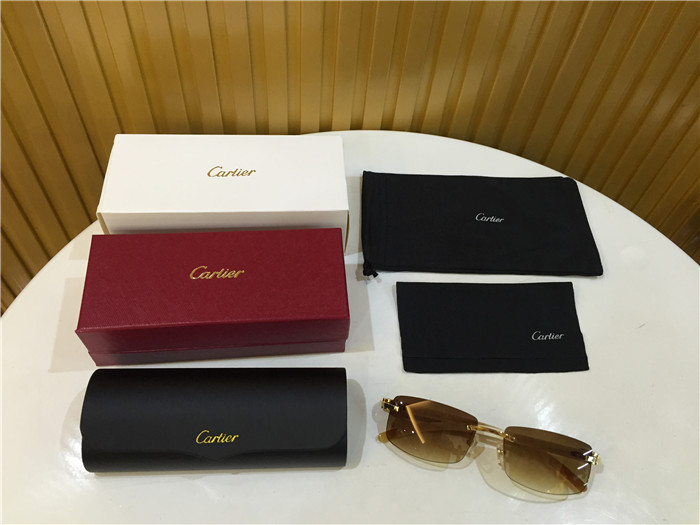 Cartier 3524012 White Buffalo Eyeglasses In Gold - DopestKickz