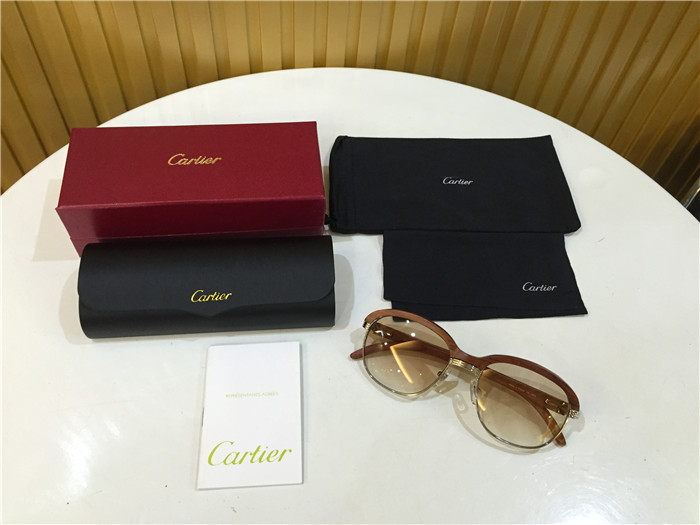 Cartier 1116679 Sunglasses In Silver Brown Gradient - DopestKickz