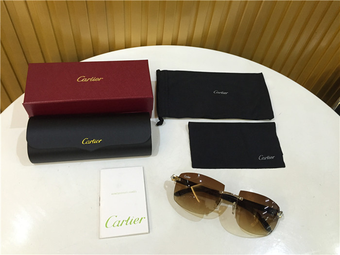 Cartier 4189705 White Mix Black Buffalo Sunglasses In Silver - DopestKickz