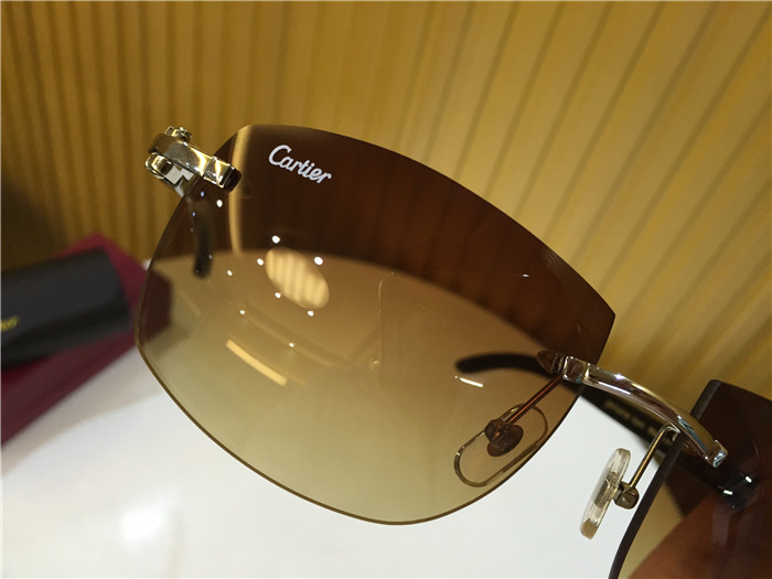 Cartier 4189705 White Mix Black Buffalo Sunglasses In Silver - DopestKickz