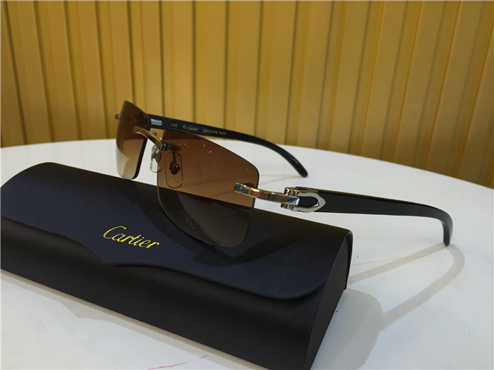 Cartier 3524012 Black Cattle Horn Eyeglasses In Silver - DopestKickz