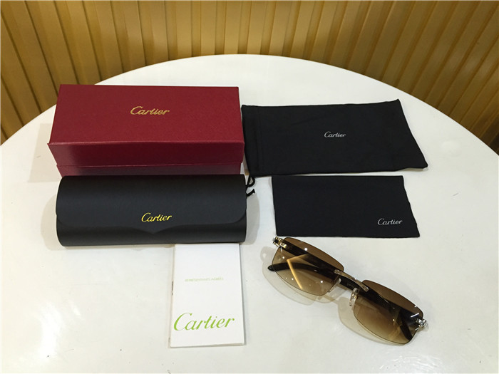 Cartier 3524012 Black Cattle Horn Eyeglasses In Silver - DopestKickz