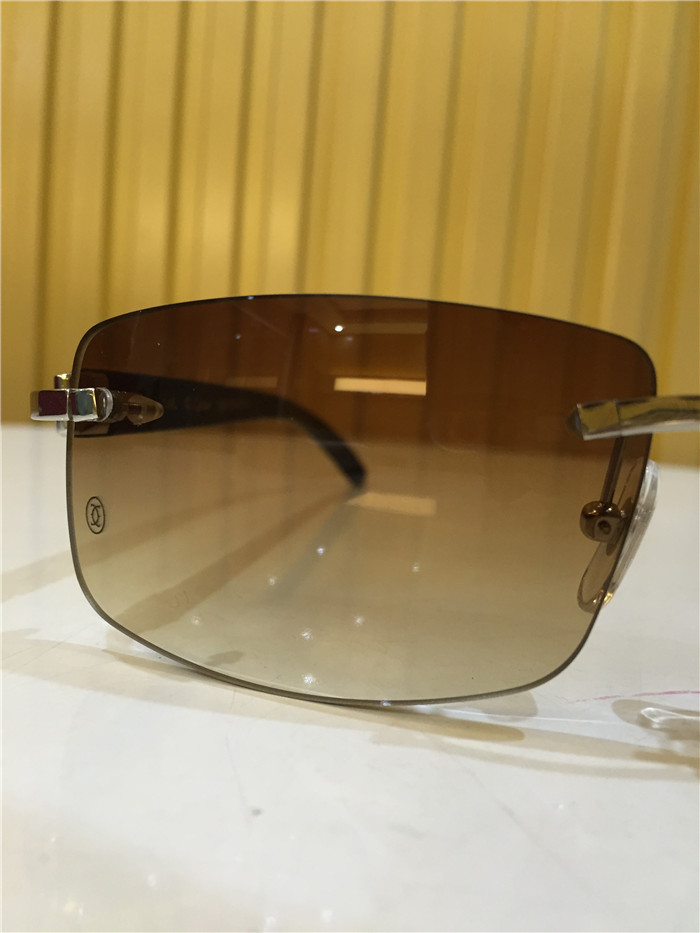 Cartier 3524012 Black Cattle Horn Eyeglasses In Silver - DopestKickz