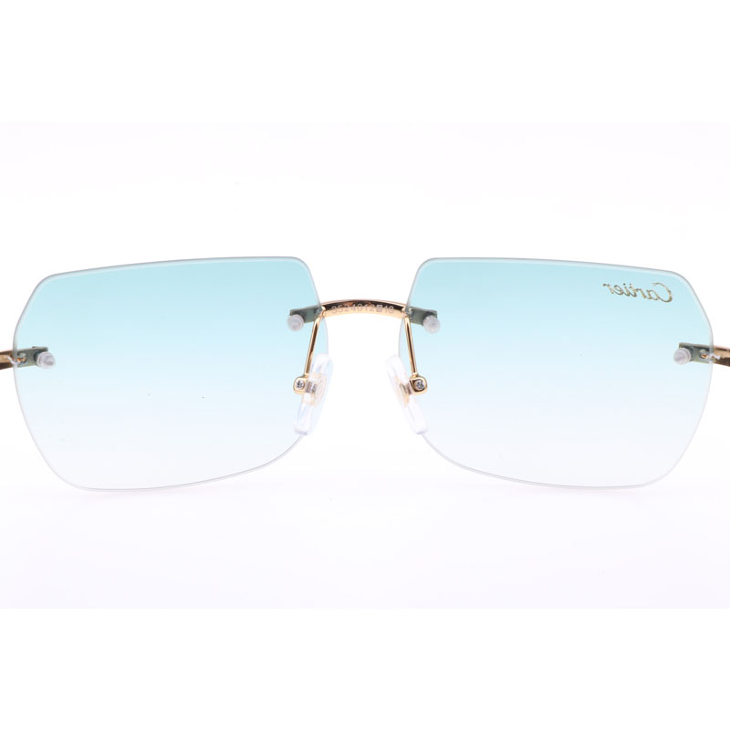 Cartier  8300818 Engrave Lens Wood Sunglasses In Silver Brown - DopestKickz