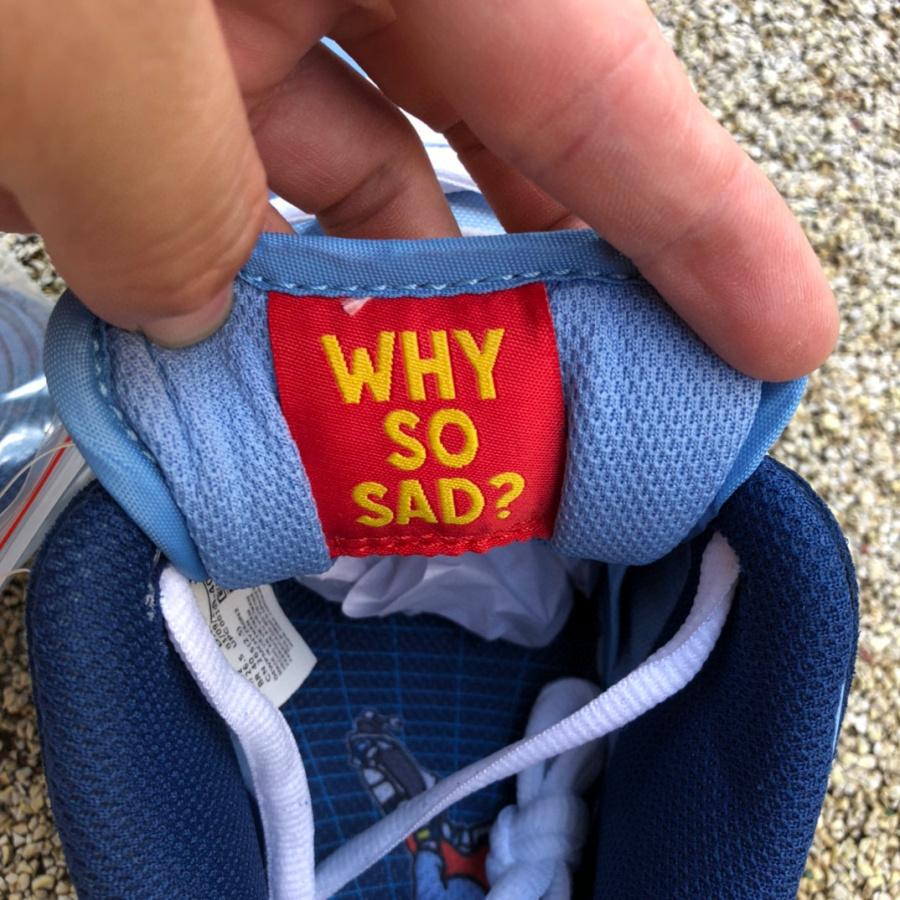 Why So Sad? x Nike SB Dunk Low Pro Sneaker   dx5549-400 - DopestKickz