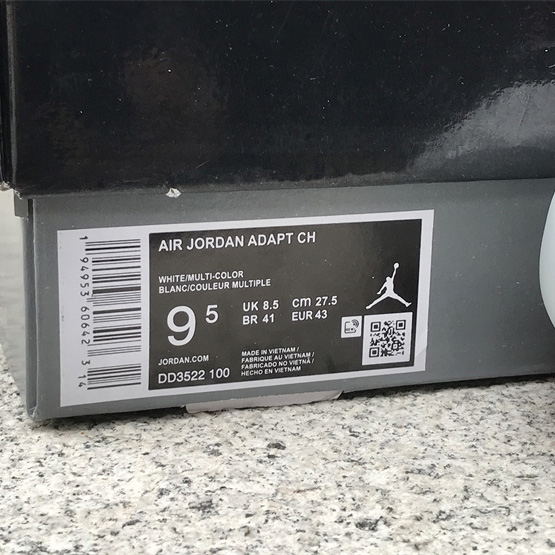 Air Jordan 11 Adapt CH Sneaker     DD3522-100 - DopestKickz