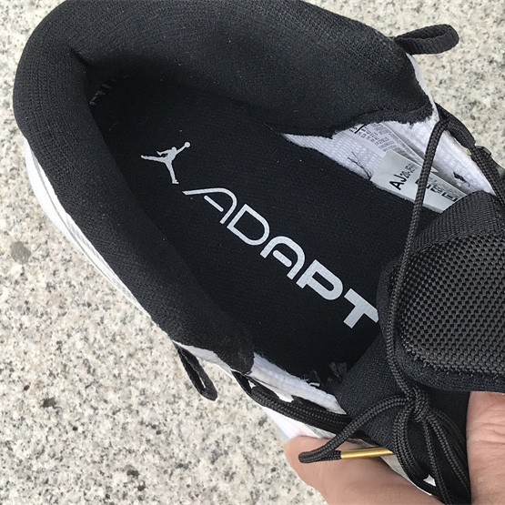 Air Jordan 11 Adapt CH Sneaker     DD3522-100 - DopestKickz