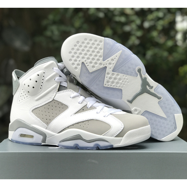 Air Jordan 6 “Cool Grey” Sneaker CT8529-100 - DopestKickz