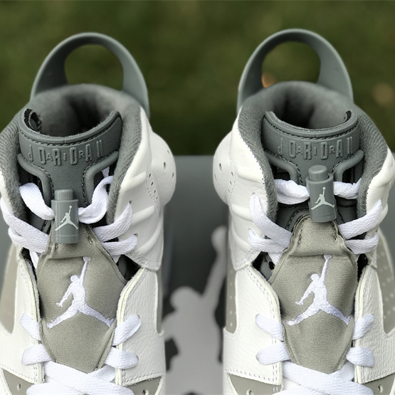 Air Jordan 6 “Cool Grey” Sneaker CT8529-100 - DopestKickz