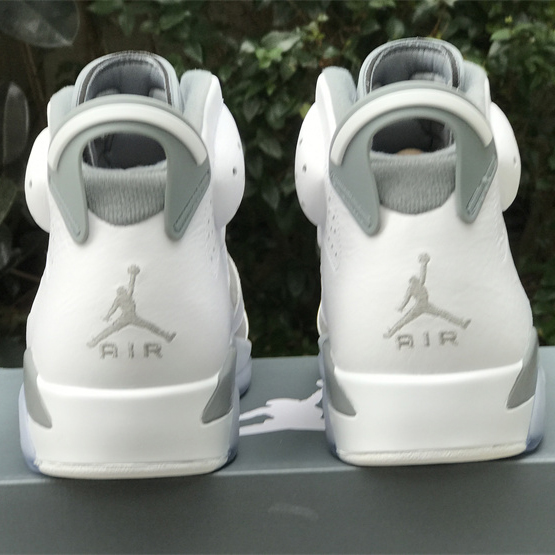 Air Jordan 6 “Cool Grey” Sneaker CT8529-100 - DopestKickz
