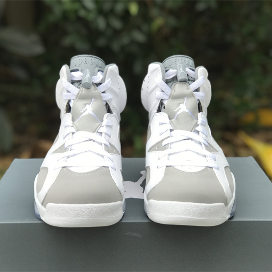 Air Jordan 6 “Cool Grey” Sneaker CT8529-100 - DopestKickz