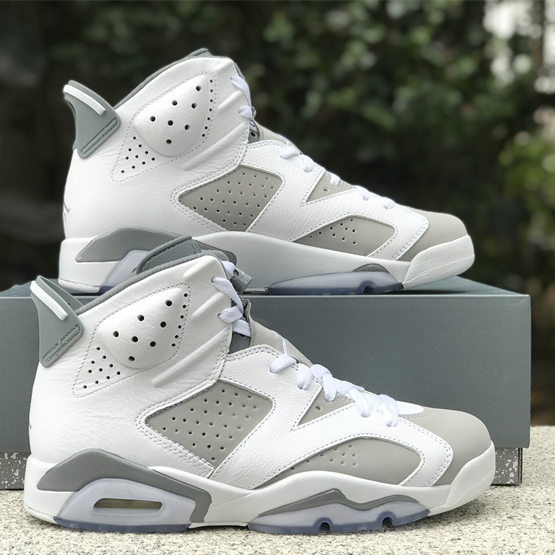 Air Jordan 6 “Cool Grey” Sneaker CT8529-100 - DopestKickz