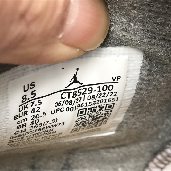 Air Jordan 6 “Cool Grey” Sneaker CT8529-100 - DopestKickz