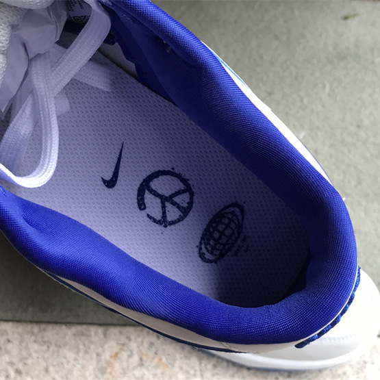 Nike SB Dunk Low Sneaker       FB1841-110 - DopestKickz