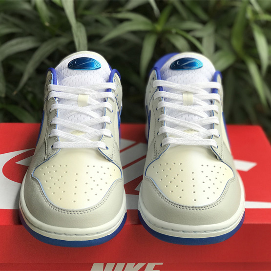 Nike SB Dunk Low Sneaker       FB1841-110 - DopestKickz