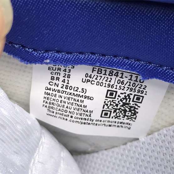 Nike SB Dunk Low Sneaker       FB1841-110 - DopestKickz