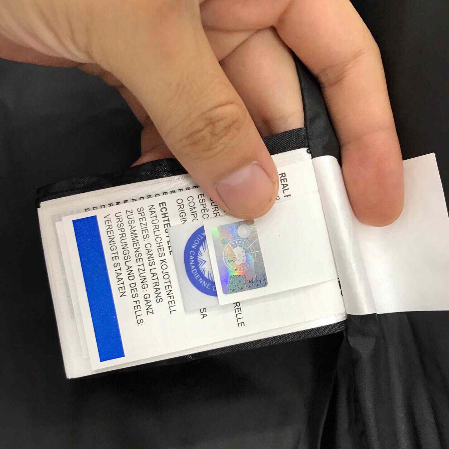 Canada Goose Expedition Parka Heritage - DopestKickz