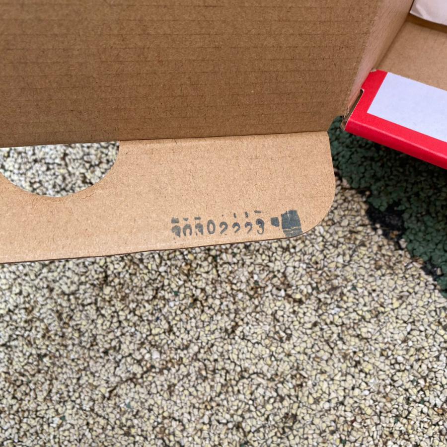 Nike Dunk Low ESS Light Iron Ore Sneaker       DQ7576-001 - DopestKickz