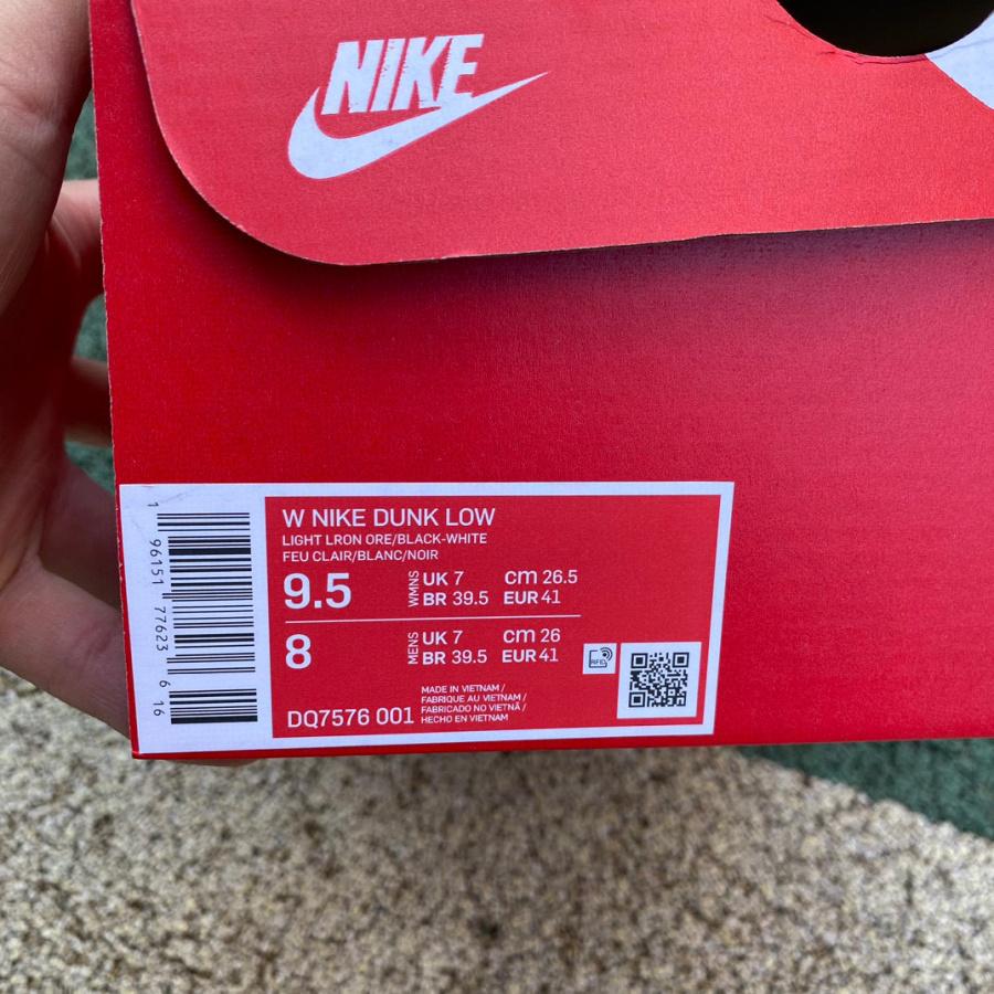 Nike Dunk Low ESS Light Iron Ore Sneaker       DQ7576-001 - DopestKickz