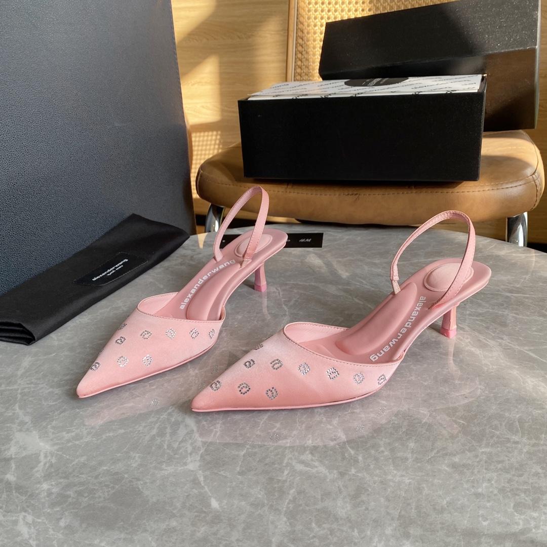 Alexander Wang Delphine 65 Slingback In Crystal Satin - DopestKickz