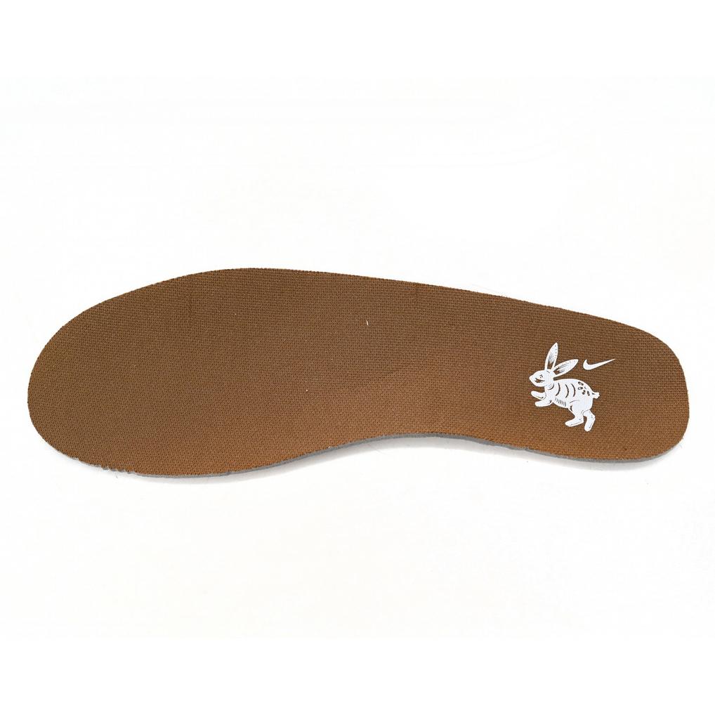 Nike Dunk Low “Year of the Rabbit” Sneaker         FD4203-211 - DopestKickz