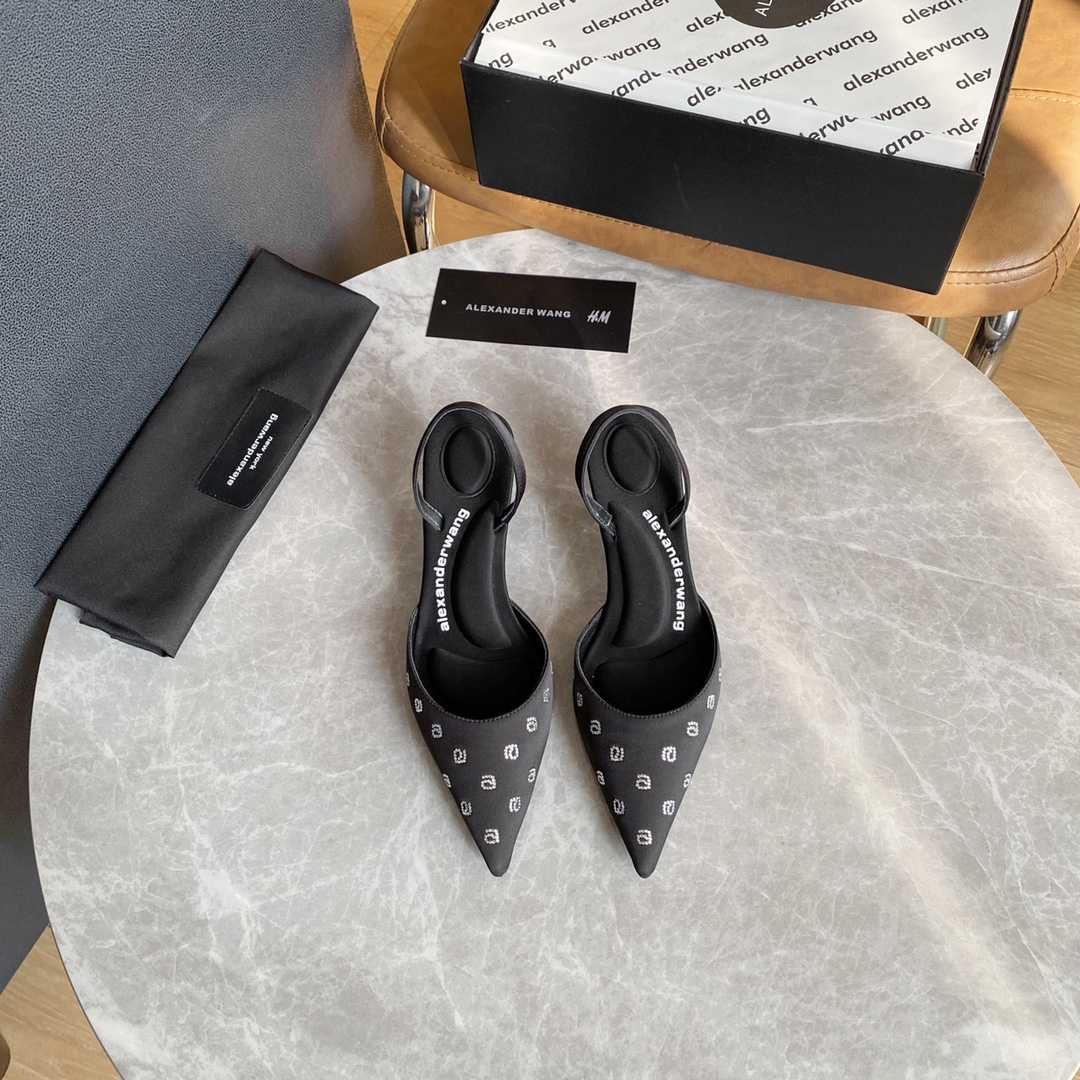 Alexander Wang Delphine 65 Slingback In Crystal Satin - DopestKickz