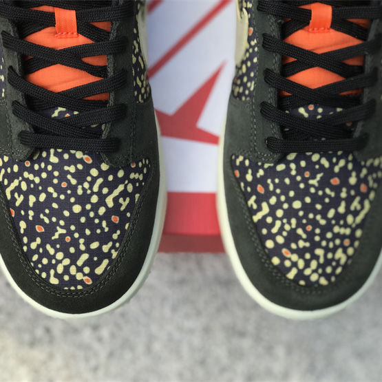 Nike SB Dunk Low Rainbow Trout Sneakers        FH7523-300 - DopestKickz