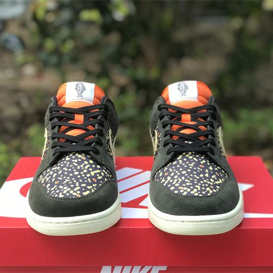 Nike SB Dunk Low Rainbow Trout Sneakers        FH7523-300 - DopestKickz