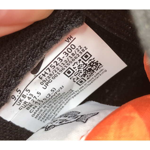 Nike SB Dunk Low Rainbow Trout Sneakers        FH7523-300 - DopestKickz