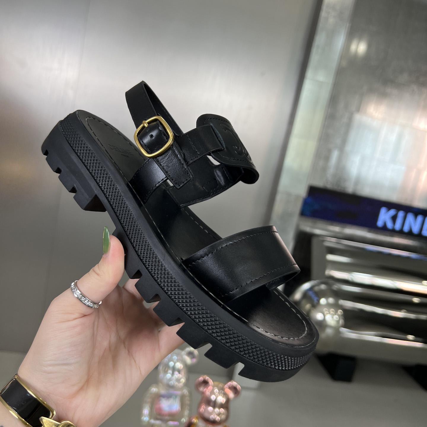 Celine Clea Triomphe Sandal In Vegetable - DopestKickz