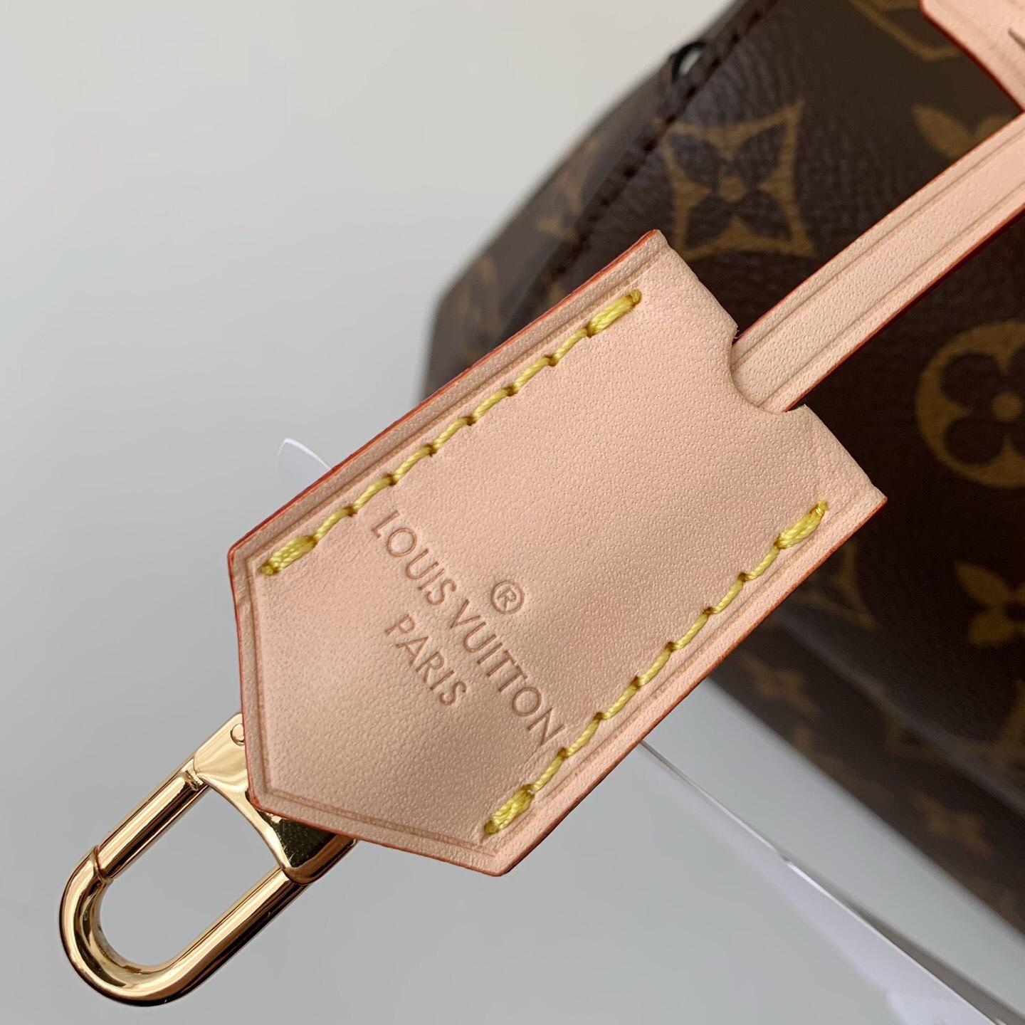 Louis Vuitton Cluny Mini Handbag  (20*16*7.5cm)    M46055 - DopestKickz