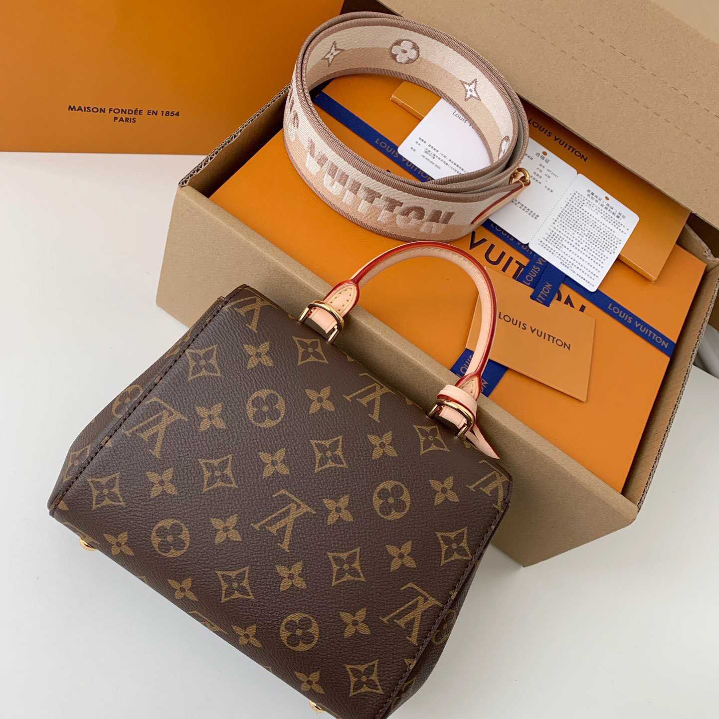 Louis Vuitton Cluny Mini Handbag  (20*16*7.5cm)    M46055 - DopestKickz