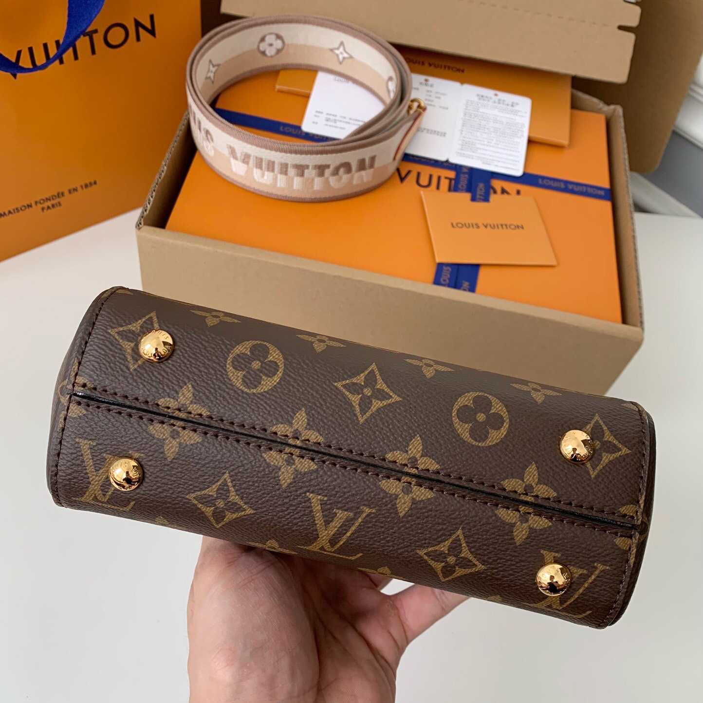 Louis Vuitton Cluny Mini Handbag  (20*16*7.5cm)    M46055 - DopestKickz