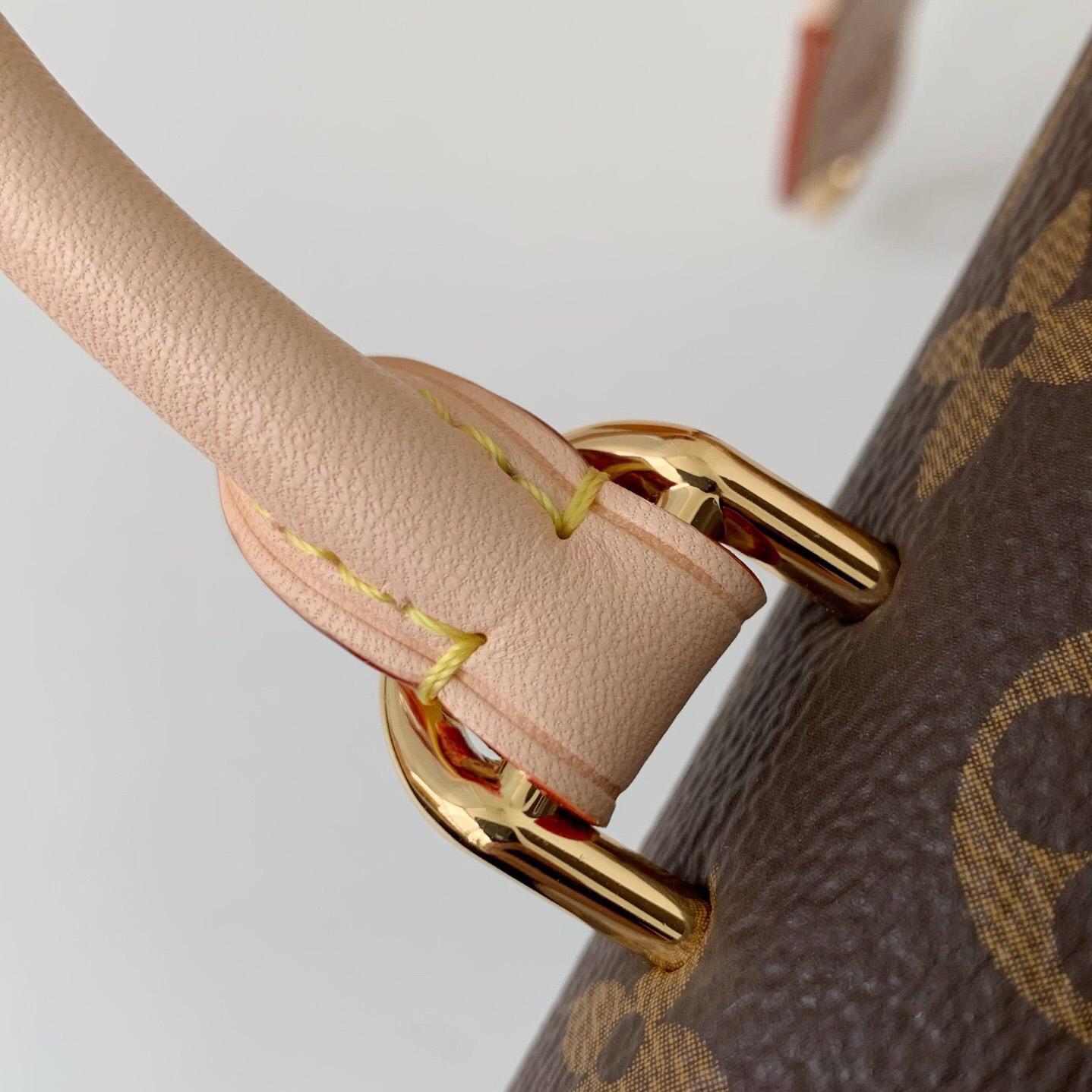 Louis Vuitton Cluny Mini Handbag  (20*16*7.5cm)    M46055 - DopestKickz