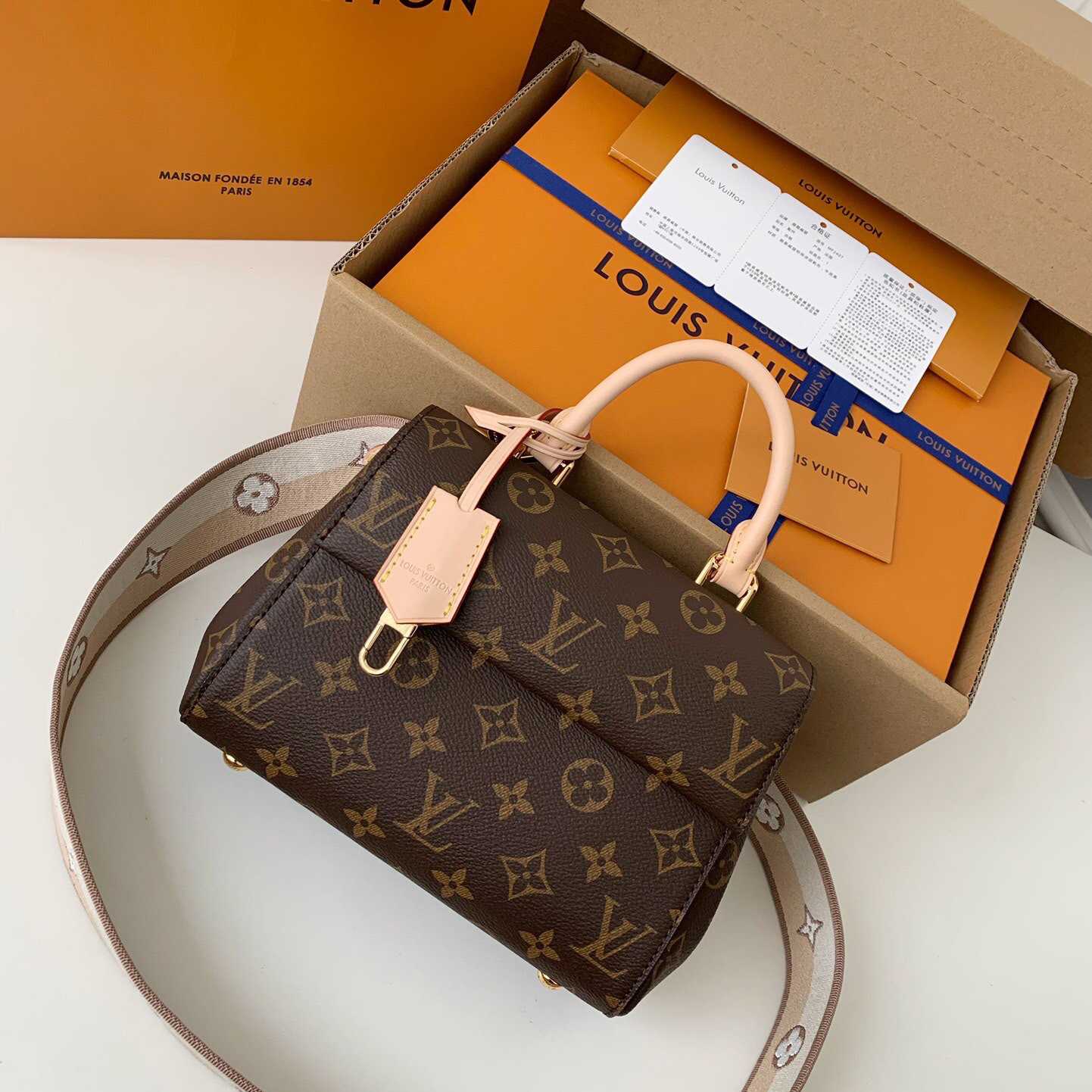 Louis Vuitton Cluny Mini Handbag  (20*16*7.5cm)    M46055 - DopestKickz