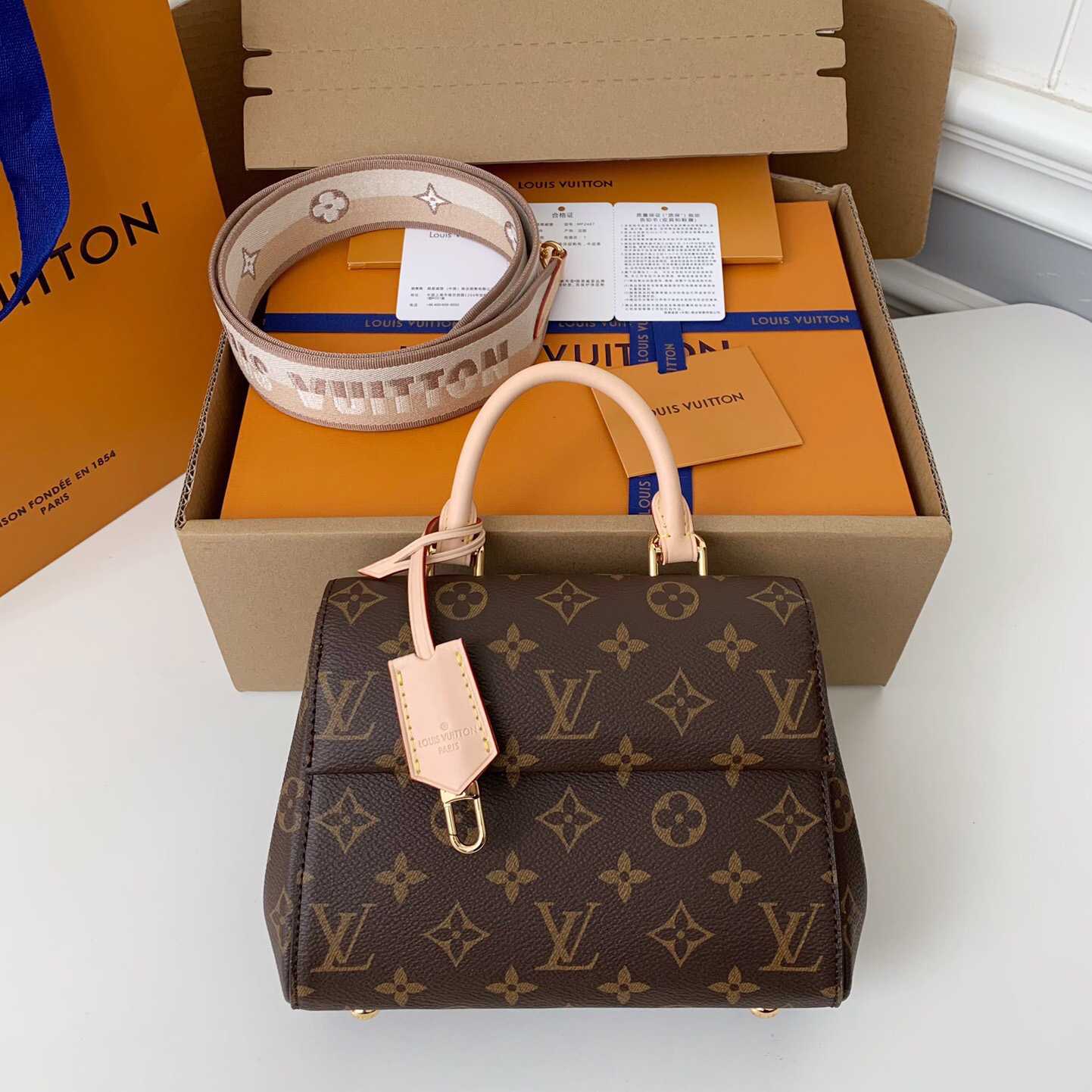 Louis Vuitton Cluny Mini Handbag  (20*16*7.5cm)    M46055 - DopestKickz