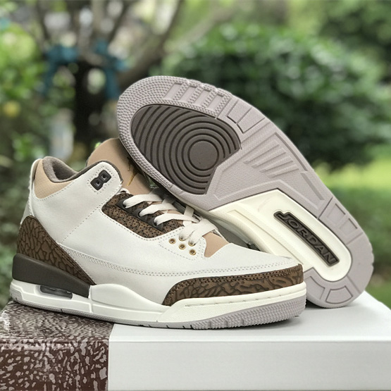Air Jordan 3 “Wizards” Basketball Shoes   CT8532-148 - DopestKickz