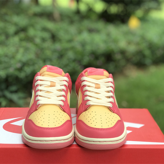 Nike SB Dunk Low Sneakers          DH9765-200 - DopestKickz