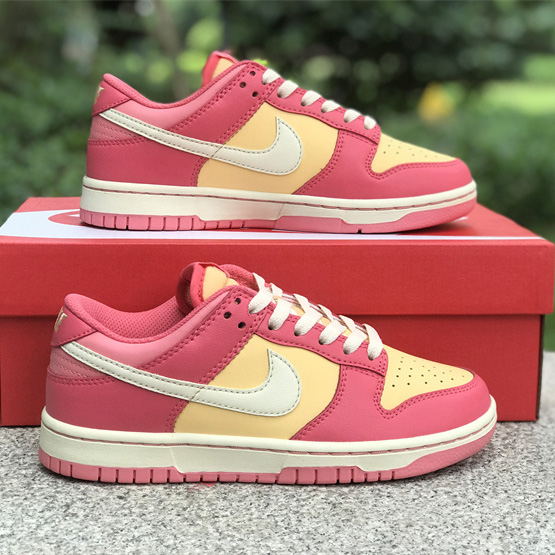 Nike SB Dunk Low Sneakers          DH9765-200 - DopestKickz