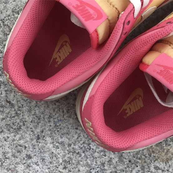 Nike SB Dunk Low Sneakers          DH9765-200 - DopestKickz