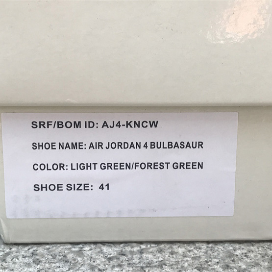Air Jordan 4 PE SB  Sneakers      AJ4-KNCW - DopestKickz
