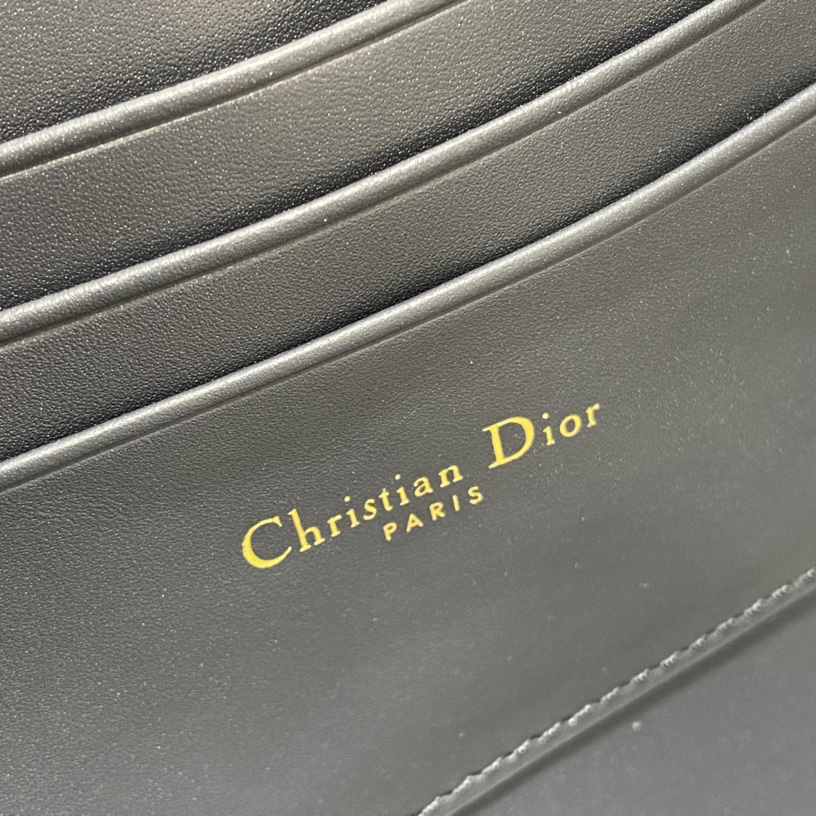 Dior 30 Montaigne Avenue Pouch With Flap  - DopestKickz