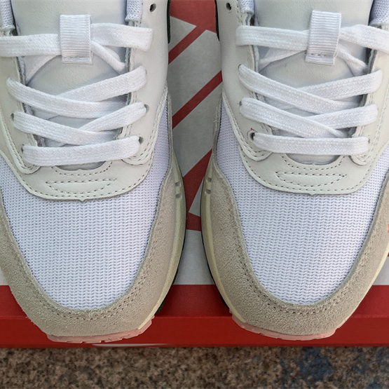 Nike Air Max 1 “All Petals United” Sneakers    FQ0256-131 - DopestKickz