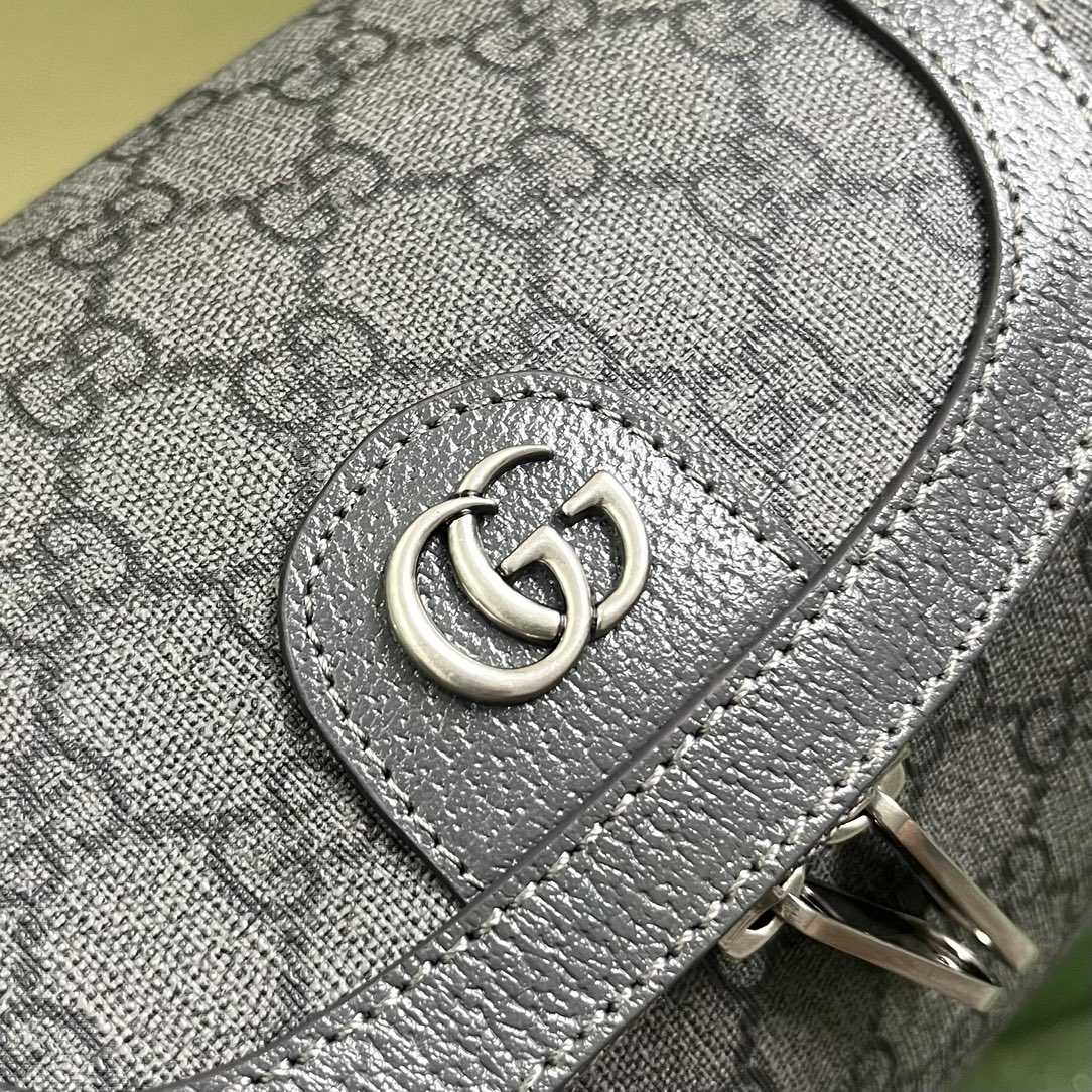 Gucci Ophidia Toiletry Case  (24-13-28cm) - DopestKickz