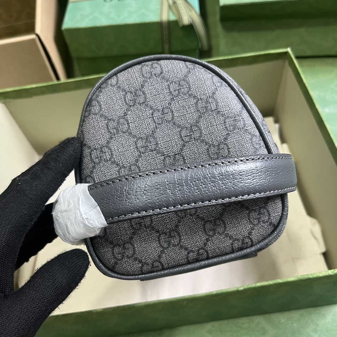 Gucci Ophidia Toiletry Case  (24-13-28cm) - DopestKickz