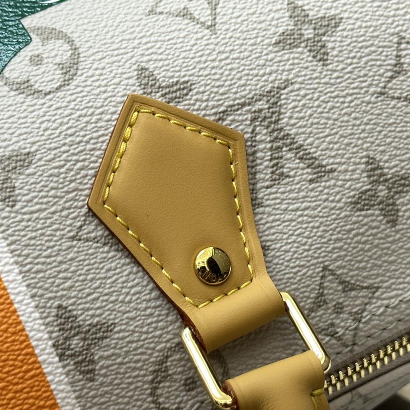 Louis Vuitton Speedy Bandoulière 25 (25-19-15cm)  M46749 - DopestKickz