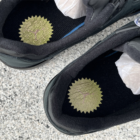 Air Jordan 5 Retro Low WF Sneakers     DJ1094-001  - DopestKickz