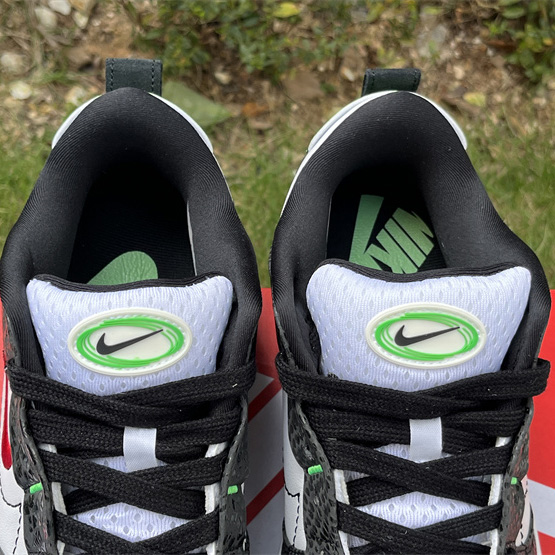 Nike Dunk Low Disrupt 2 “Just Do It” Sneaker     DV1490-161 - DopestKickz