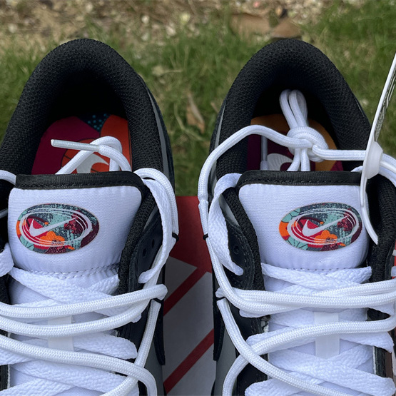 Nike Dunk Low Sneaker     FD4623-159 - DopestKickz