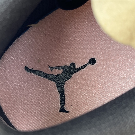 Air Jordan 1 Low Sneaker     DQ2516-108 - DopestKickz